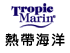 熱帶海洋